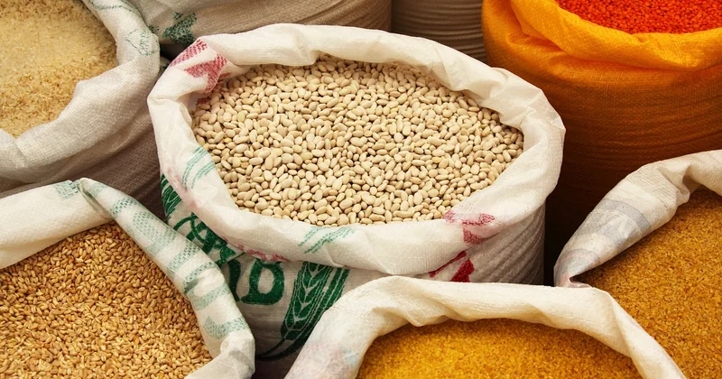 Haricots secs ou haricots en boîte : le vrai arbitrage